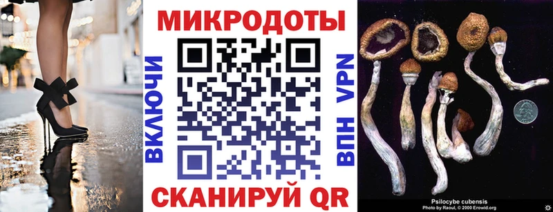 blacksprut вход  Уссурийск  Галлюциногенные грибы Cubensis  купить наркотики цена 
